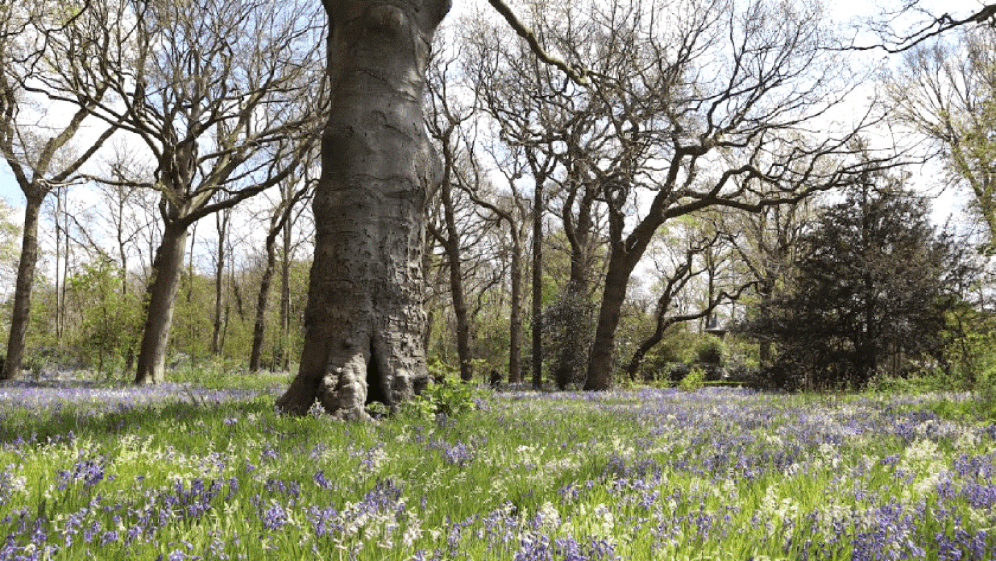 Nieuwe richtlijnen tuinhistorisch onderzoek komen er aan