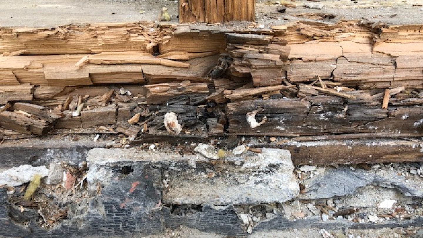 De schadeatlas: houvast in een wereld vol terminologie  