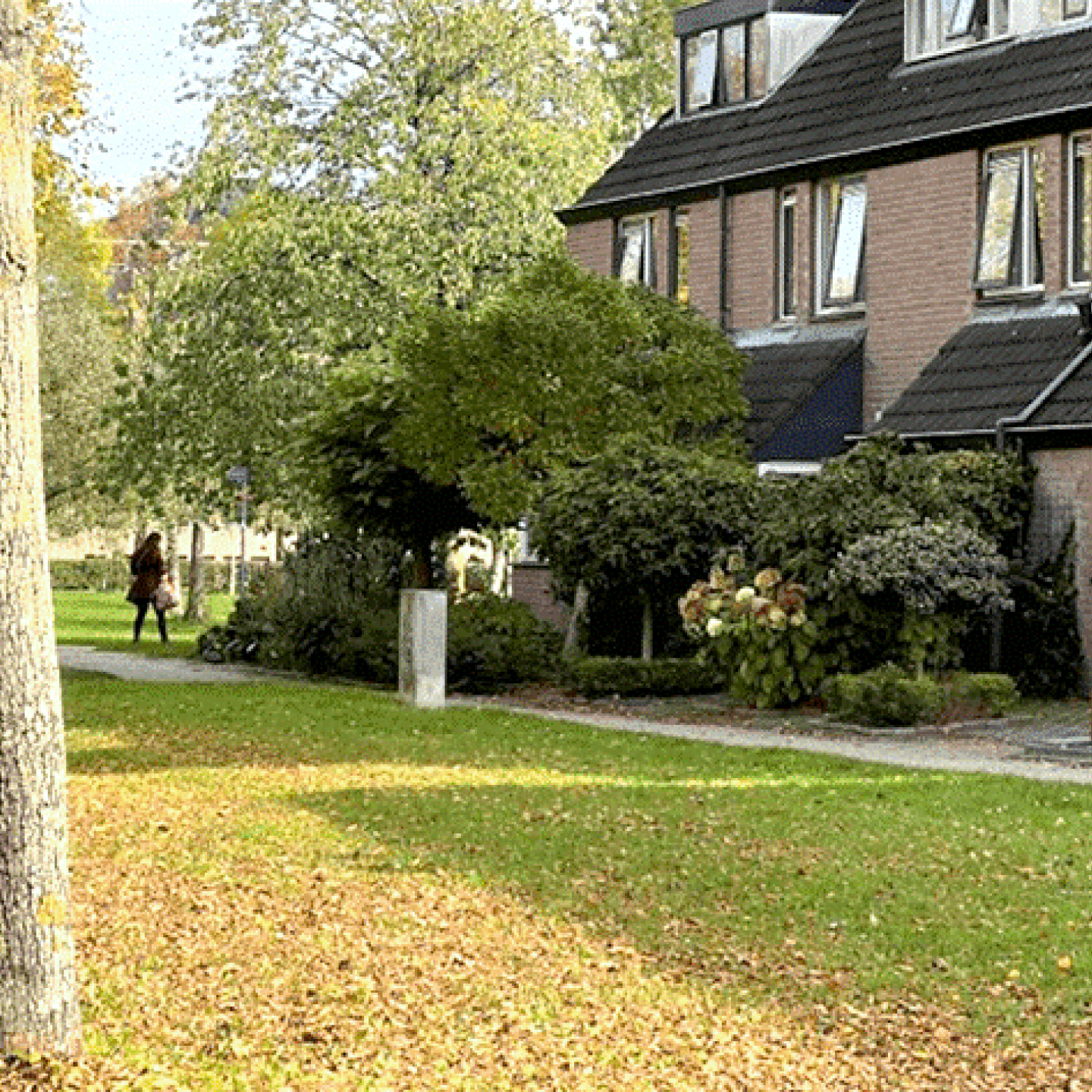 Groen erfgoed in de stad